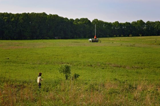 a figure in the tall green grasses of a meadow 