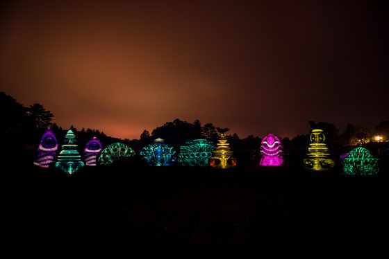 topiaries with blue, pink, and yellow lights 