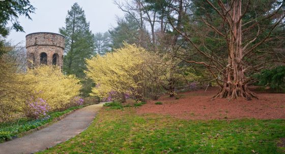 a view of a yellow and green textured garden with a stone building in the distance 