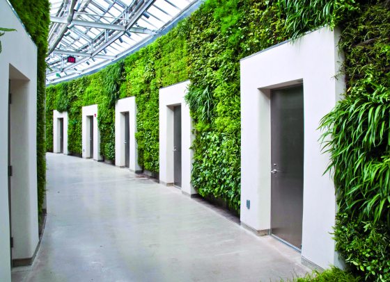 a wall filled with green ferns with white door ways 