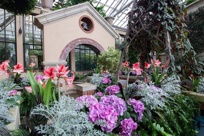 Purple hydrangeas sit in front of red and white amaryllis plants in lifted planters amid a larger stone pyramid structure 