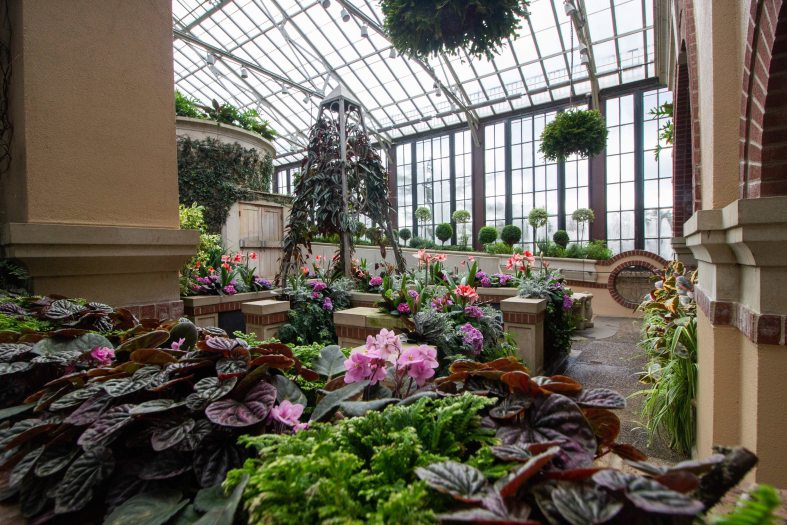 Dark purple climb a whimsical pyramid structure among a collection of planted plants