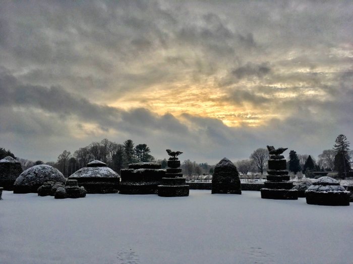 White snow covers the ground and topiary during a blue and yellow winter sunset