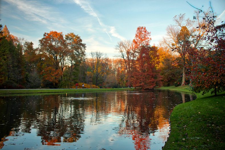 Autumn colors of red and orange color trees along the far side of a large lake