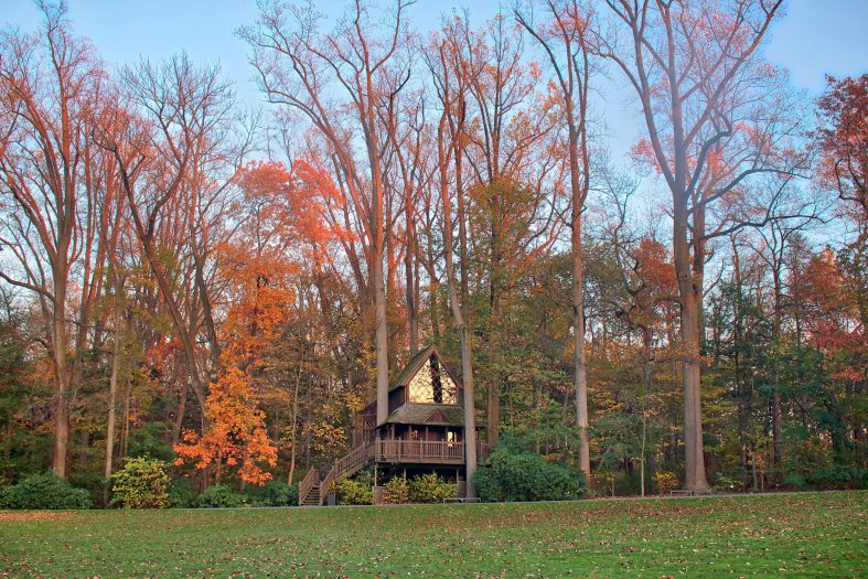 A wooden two-story treehouse sits among a large area of trees with green and orange leaves