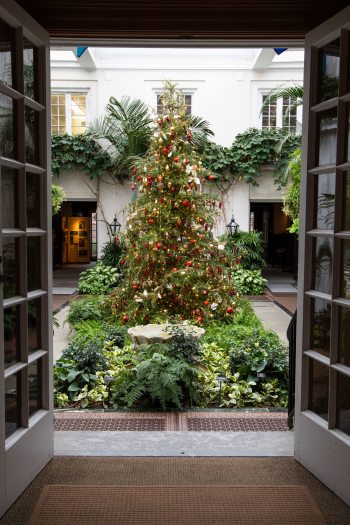 A decorated red and green Christmas tree is seen through open doors with glass window panes