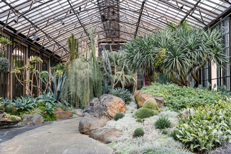 A stone pathway leads the way through a garden of green succulents, desert plants, agaves, and cactuses in the Silver Garden in a glass conservatory