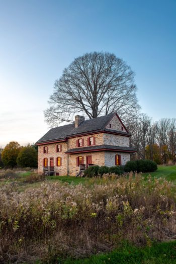 A small stone house with red shutters sits beside a tall tree behind an area of meadow plants under a blue sky