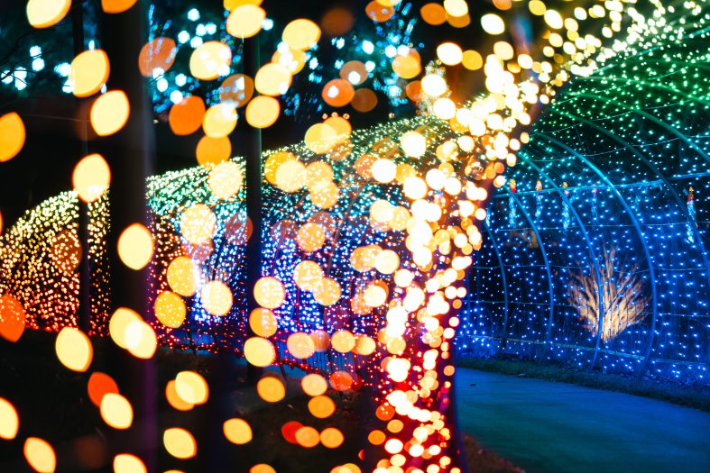 Closeup of curving tunnel of multi-colored lights.