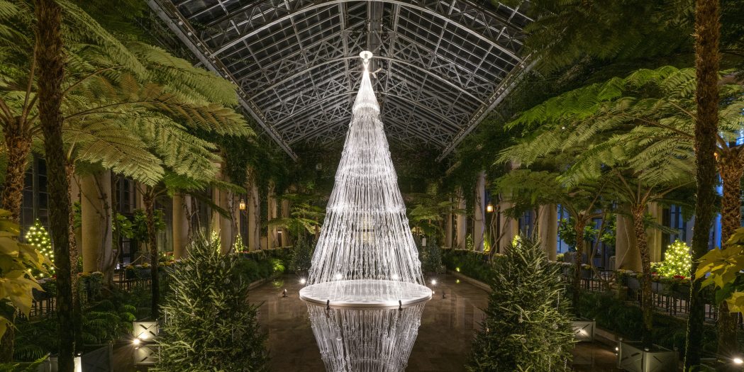 A lit tree shaped from strands of white cord reflects in a flooded conservatory floor, surrounded by greenery.