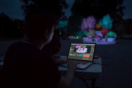 person with a laptop setting up lights for a plant display at night