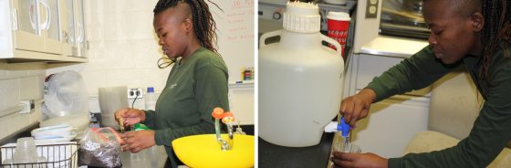 a person in a green shirt using test tubes to test soil