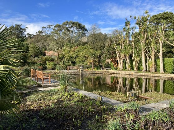 A botanic garden with a rectangular pond and benches around it.