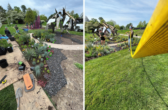 Two images of people installing a new garden. 