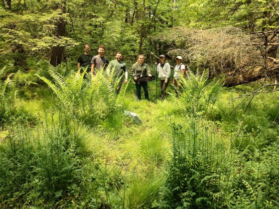 Six people standing outdoors in a forest like setting.