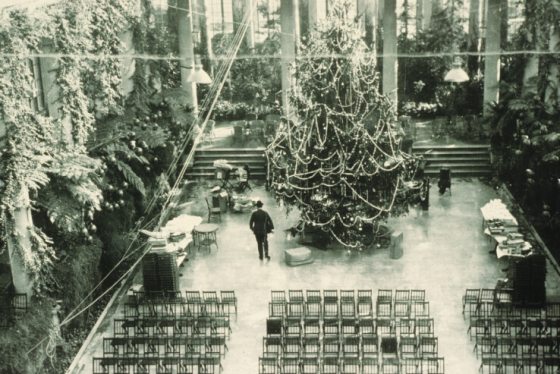 A black and white image of the Fern Floor during the holiday display at Longwood Gardens.