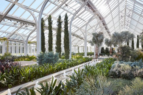 An interior view of Longwood's West Conservatory. Swaths of green plants are interspersed amongst water canals. In the distance on the left, tall green Mediteranean Cypress plants can be seen. On the right, tall palm trees. 