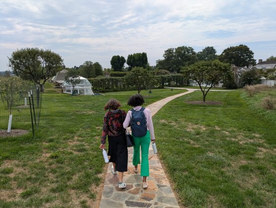 Two people with linked arms, walking down a path in an outdoor garden.