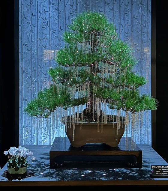 A bonsai adorned with icicle decorations. 