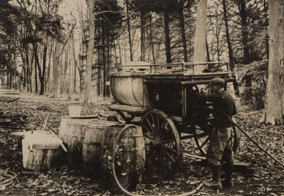 black and white image from 1912 of person with a tree spraying machine